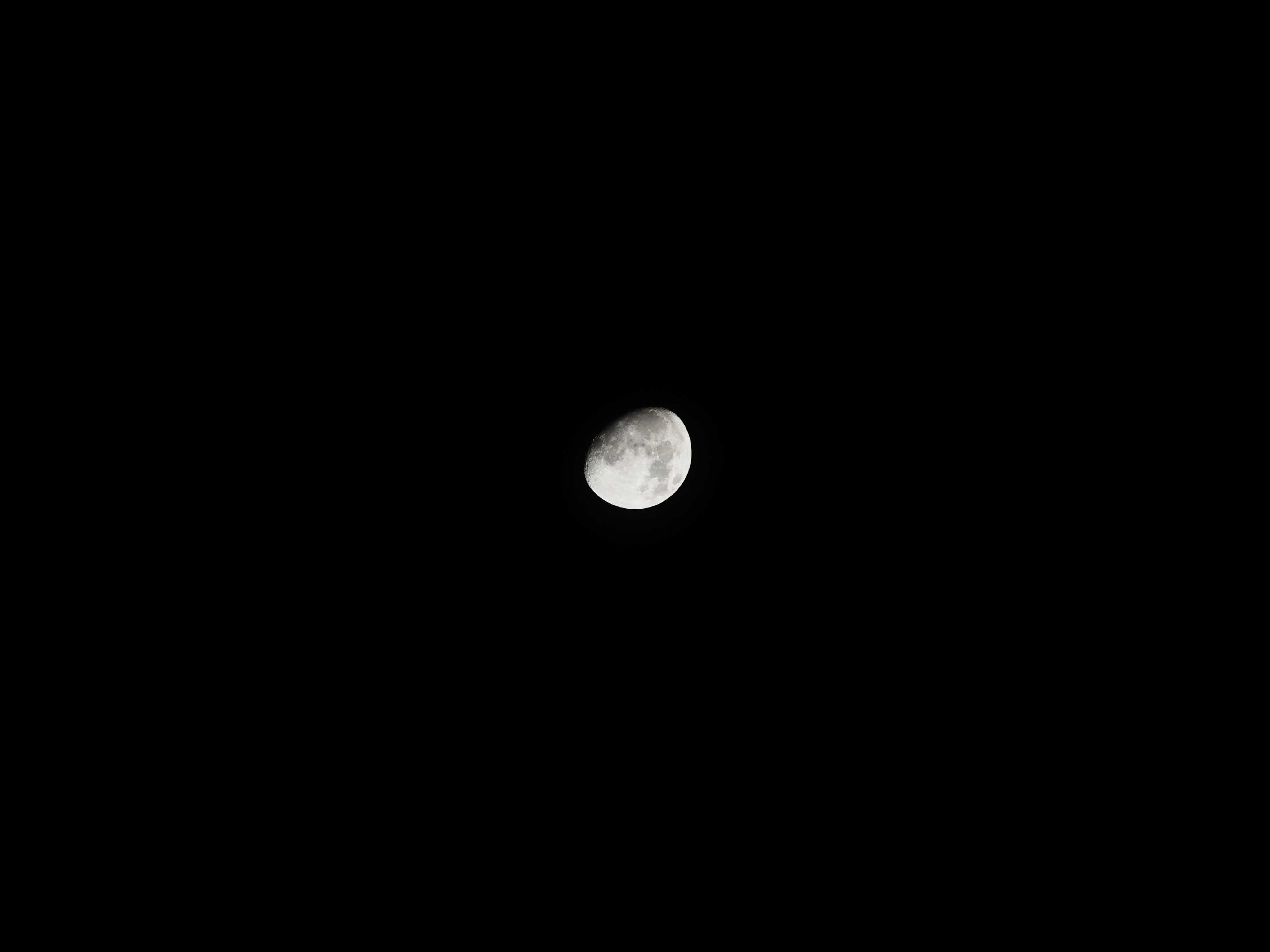 DSC00778.jpg