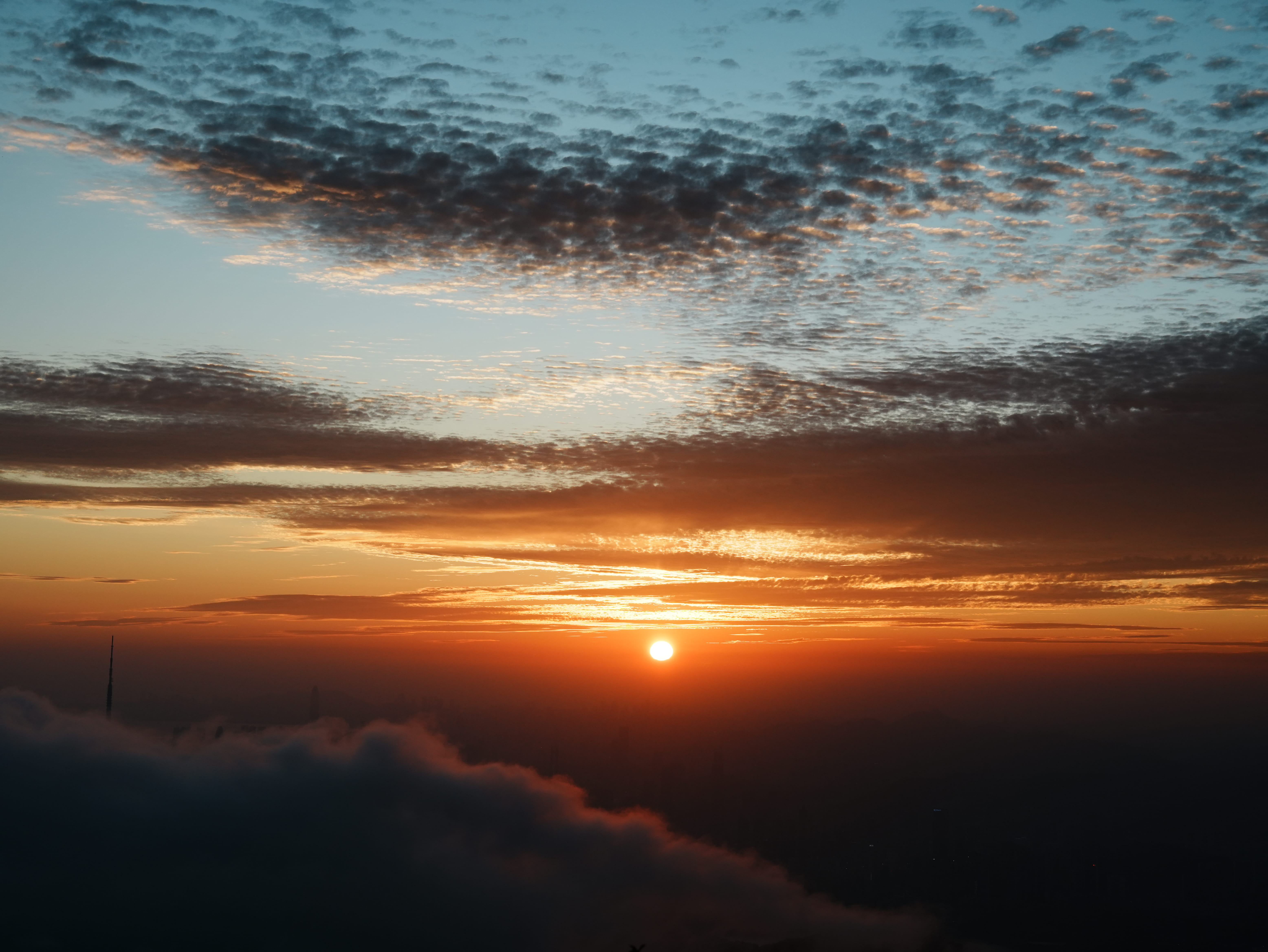DSC01847.jpg