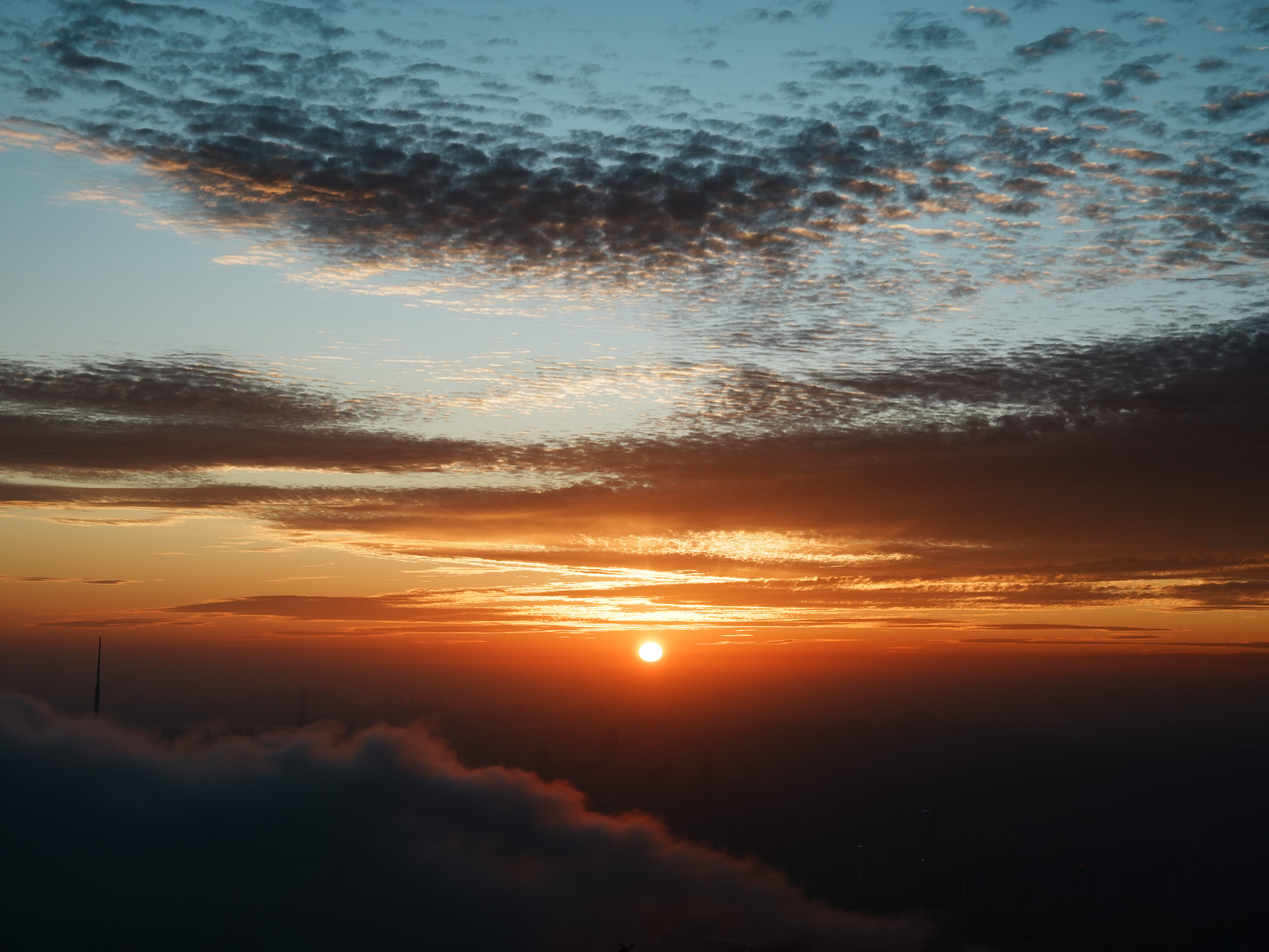 DSC01848.jpg