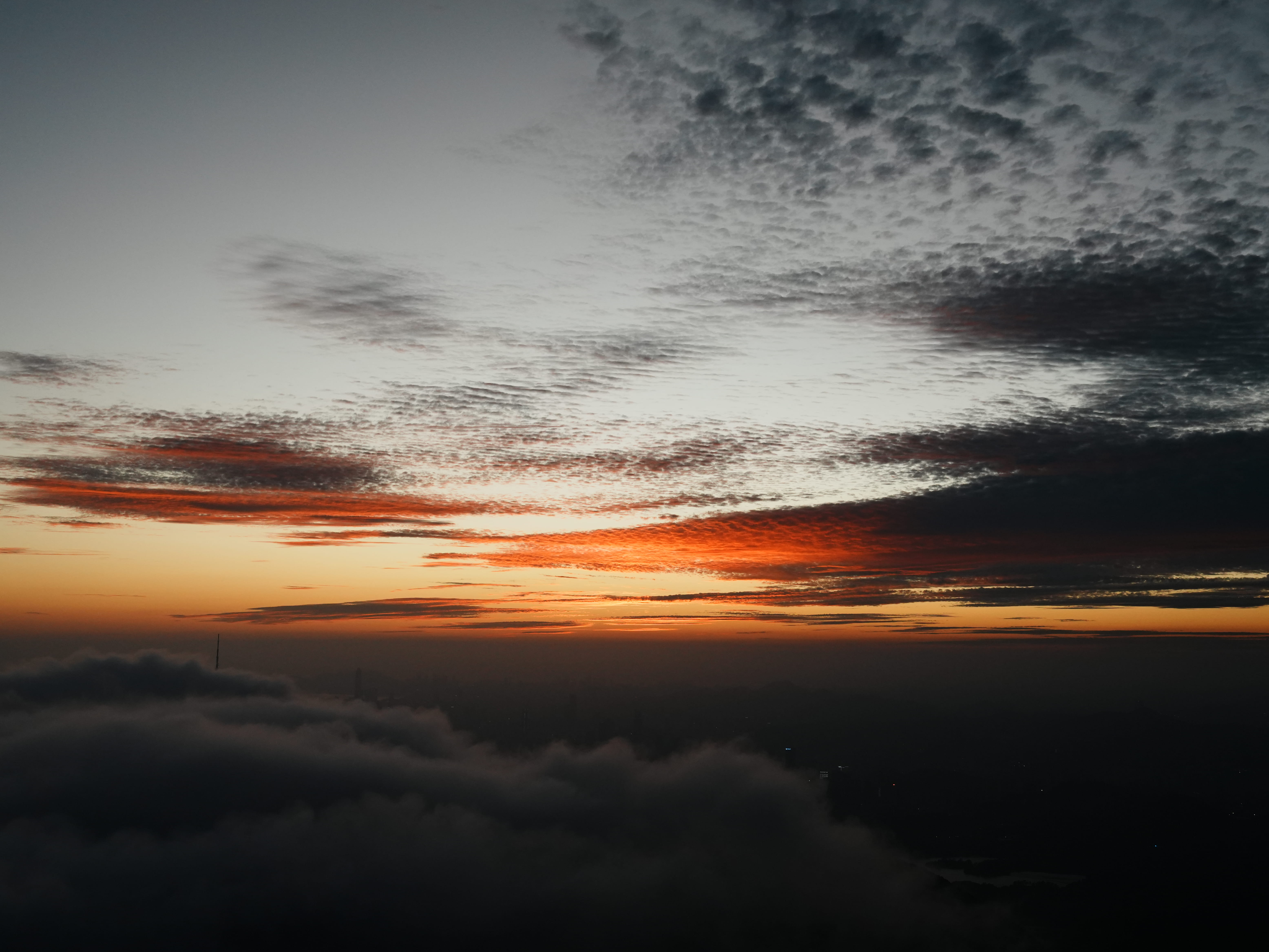 DSC01943.jpg