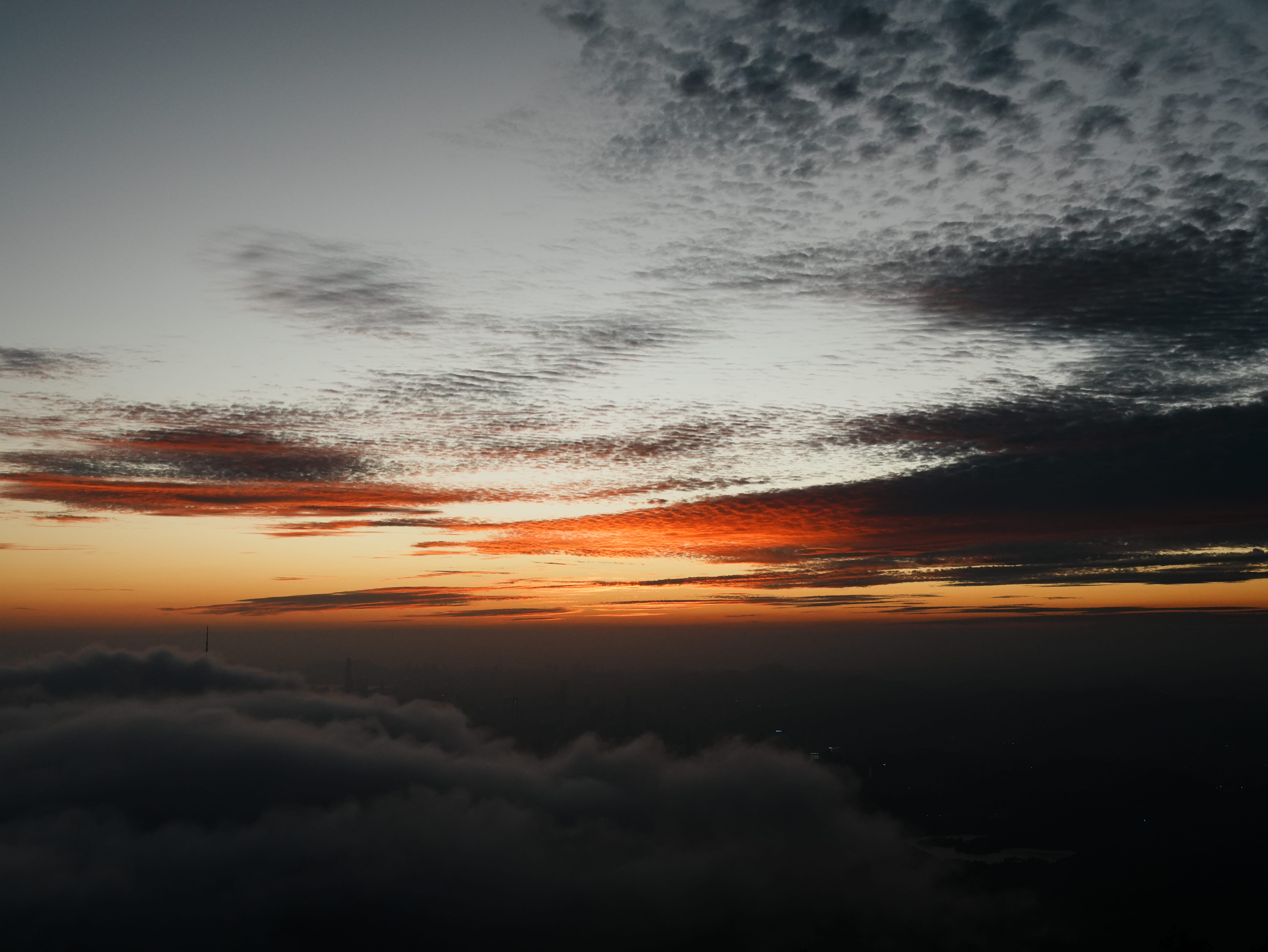 DSC01945.jpg